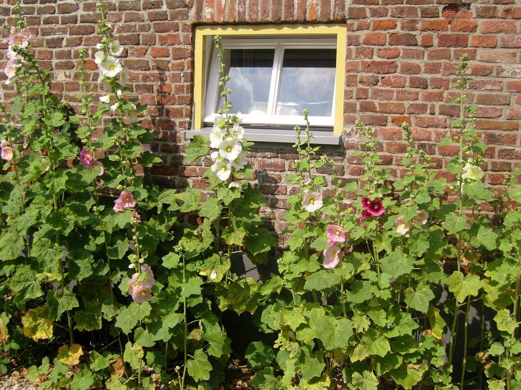 Bed & Breakfast Appeltern Exteriör bild